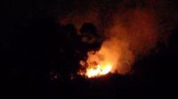 Huánuco: reportan incendio forestal en el sector de Buenos Aires en Tingo María [VIDEO]