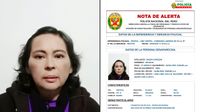 Villa El Salvador: mujer de 57 años con esquizofrenia desaparece tras salir de su casa 