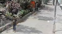Chaclacayo: vecinos de Morón reportan un perro suelto que ataca y mata a otros perros y gatos de la zona