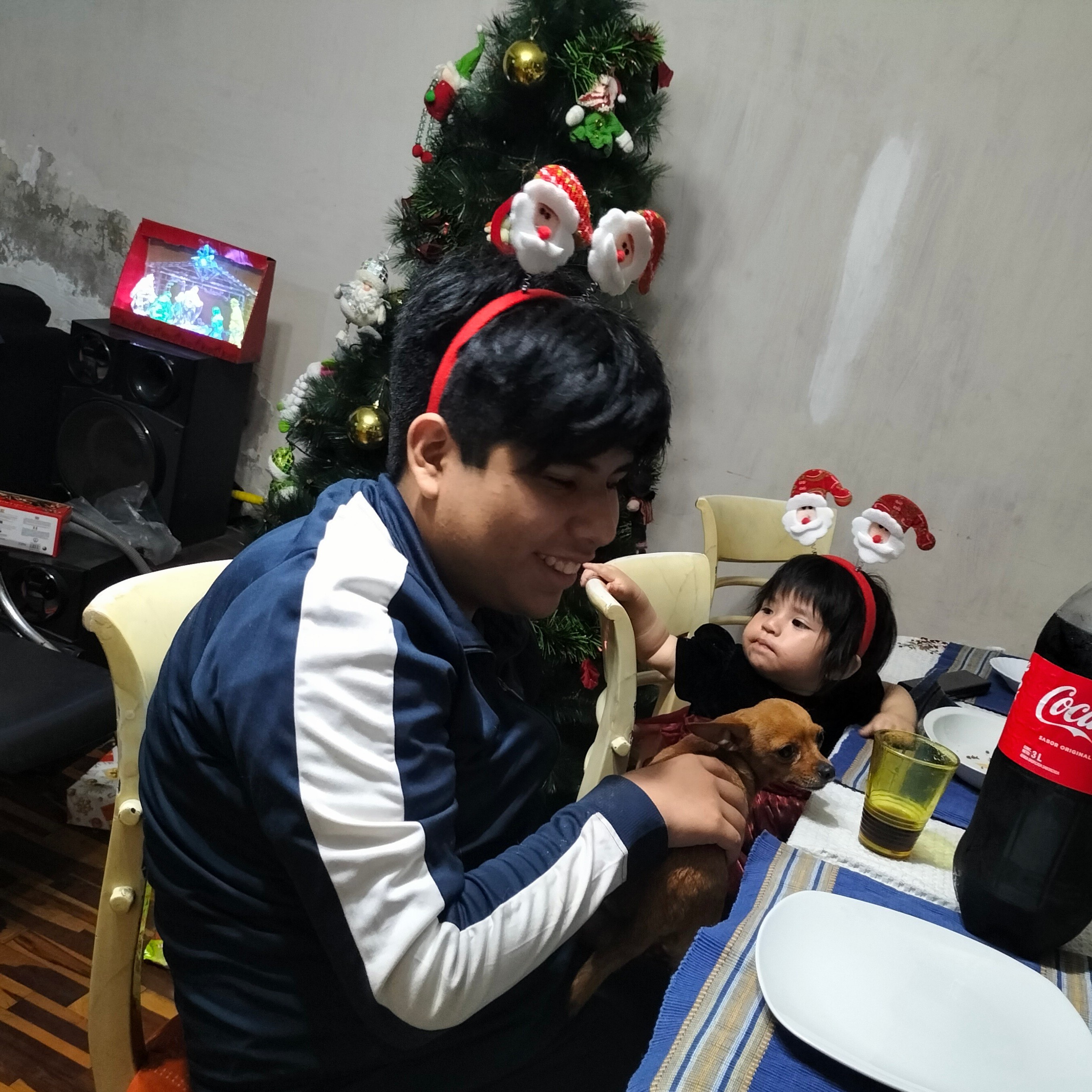 Rosa Falcon Ruiz Falcon Ruiz