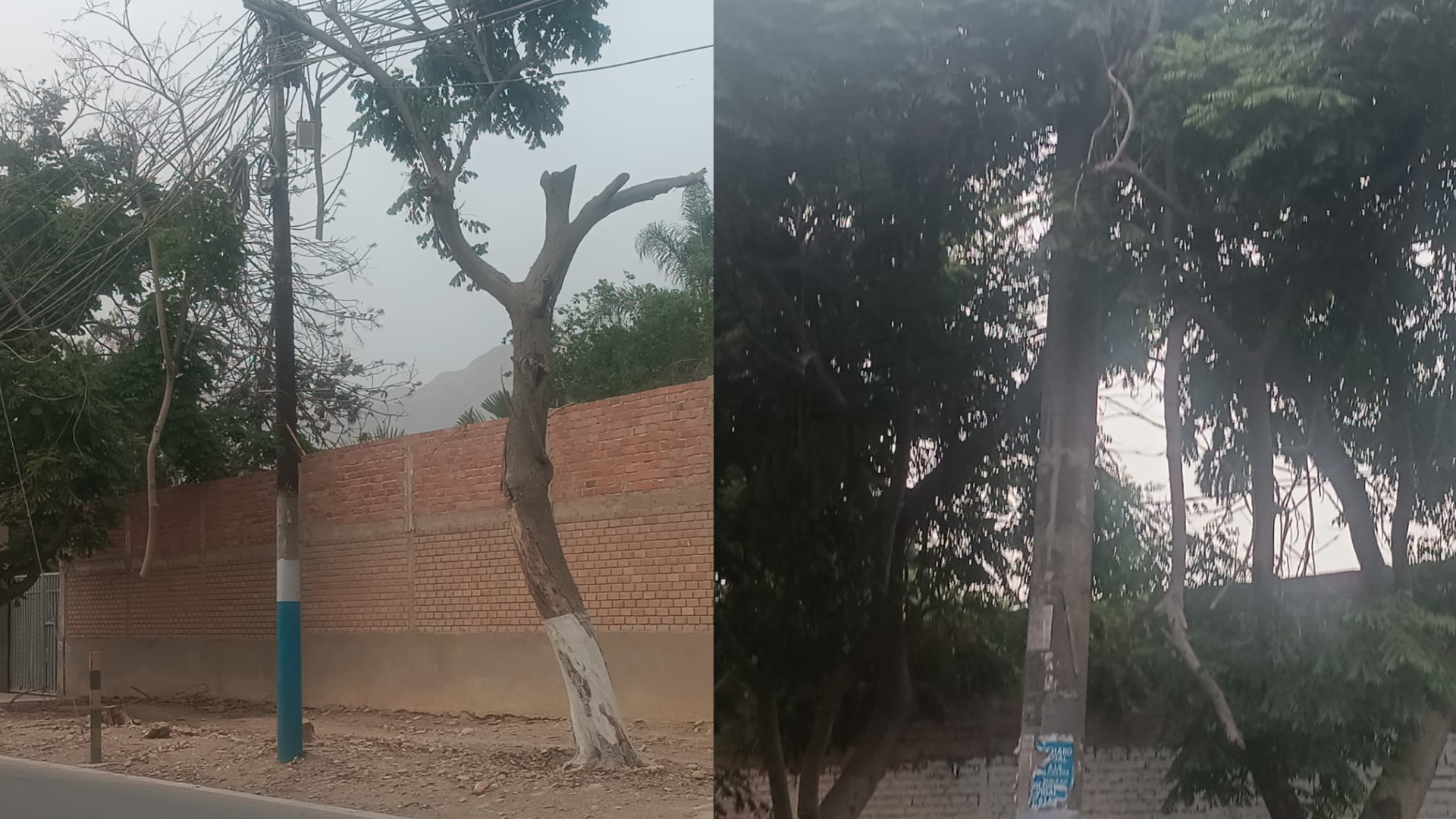 proyecto-nuevo-47_897792.jpg
