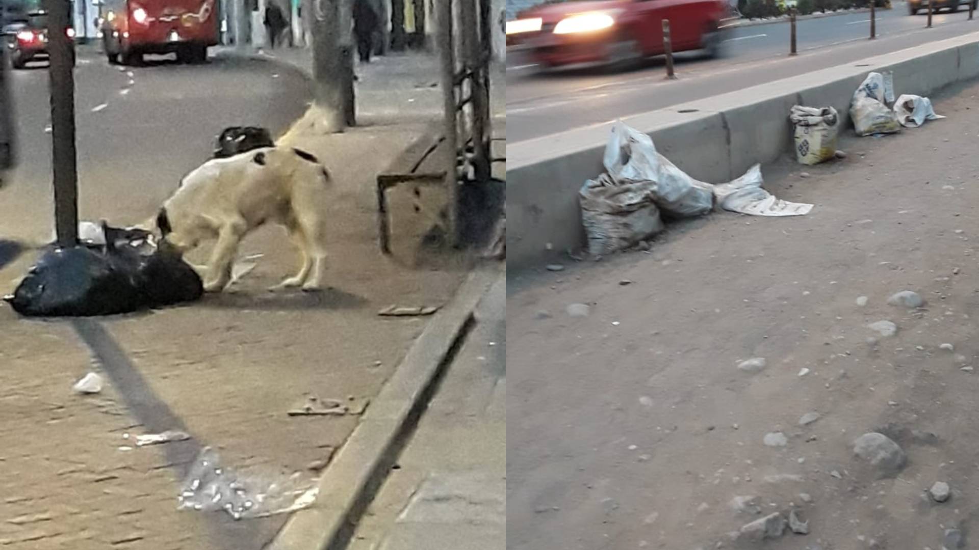 Cercado de Lima: vecinos se quejan por falta de recojo de basura