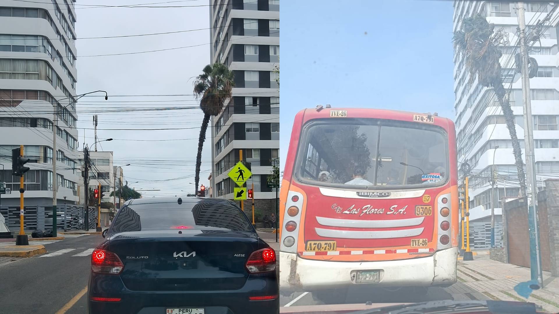 Pueblo Libre: palmera a punto de caer pone en peligro a transeúntes