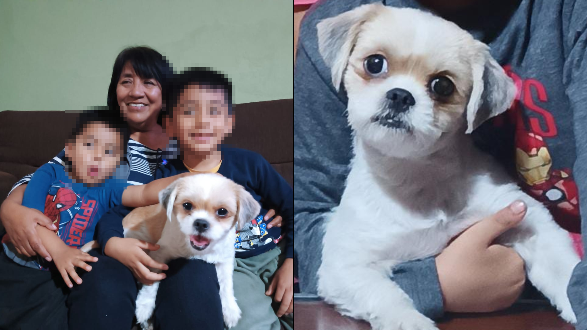 San Juan de Miraflores: familia se reencuentra con su mascota llamada Zoe