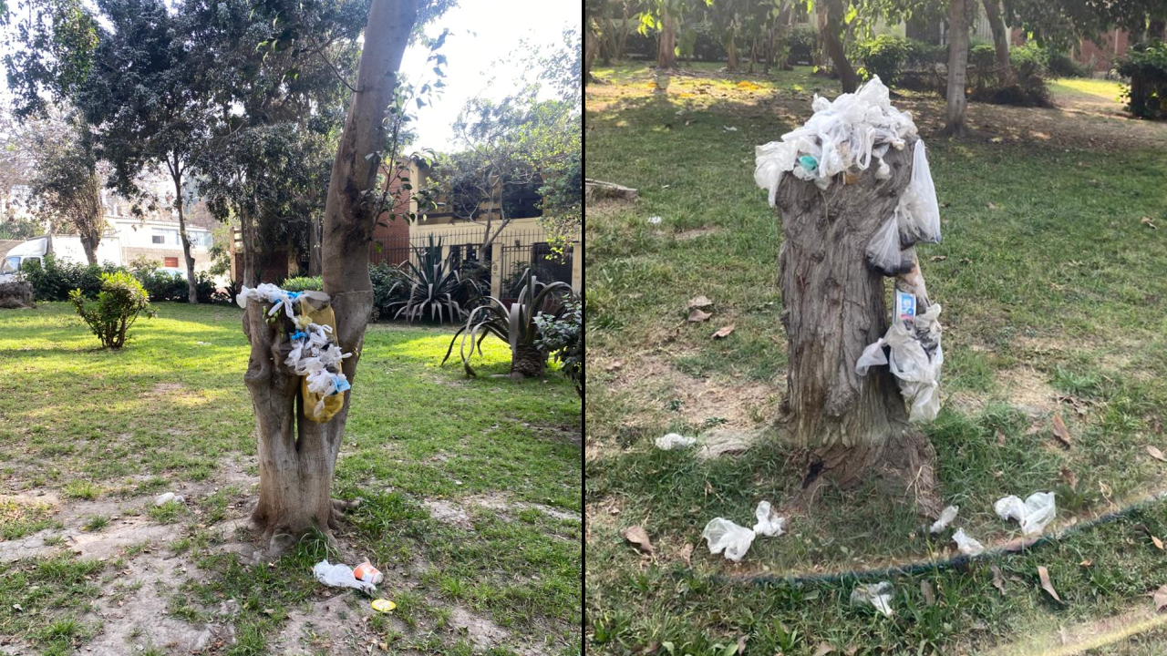 parque-chaclacayo-basura2_590739.jpg