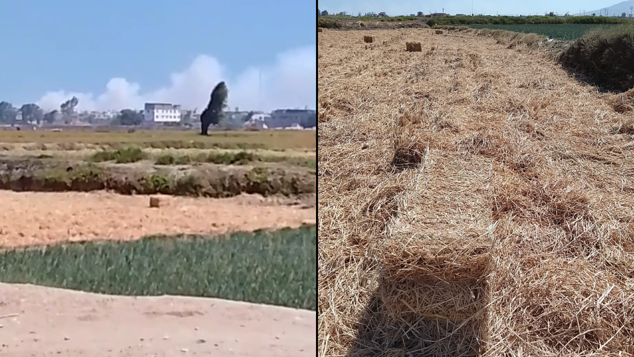 El ciudadano comentó que la quema de arroz es a todas horas del día