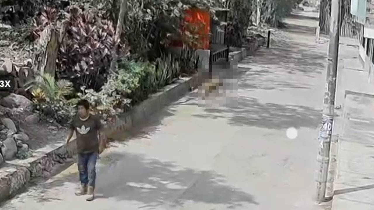 https://erotafono.radio-grpp.io/2026/09/15/perro-ataca-chaclacayo2_514342.jpg