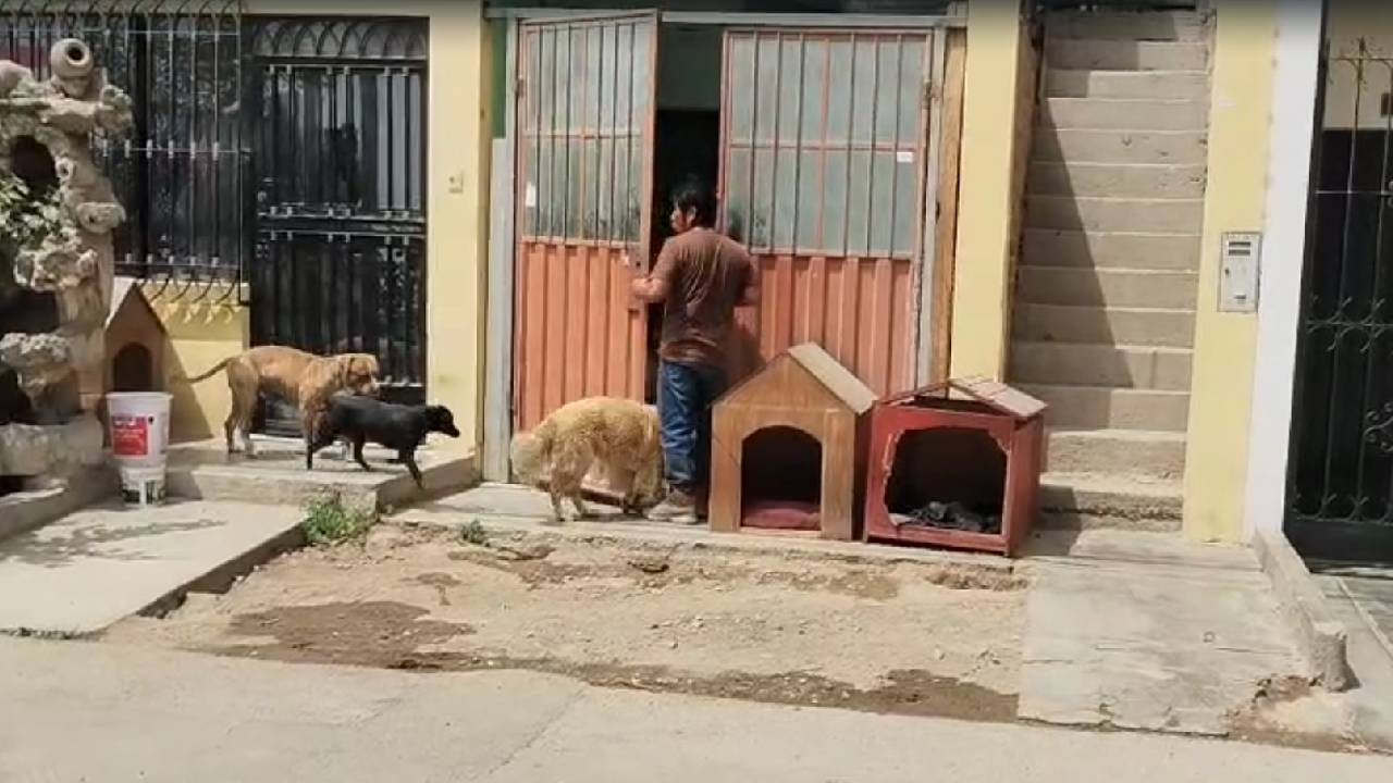 Este sería la casa de la persona que tiene al perro agresivo